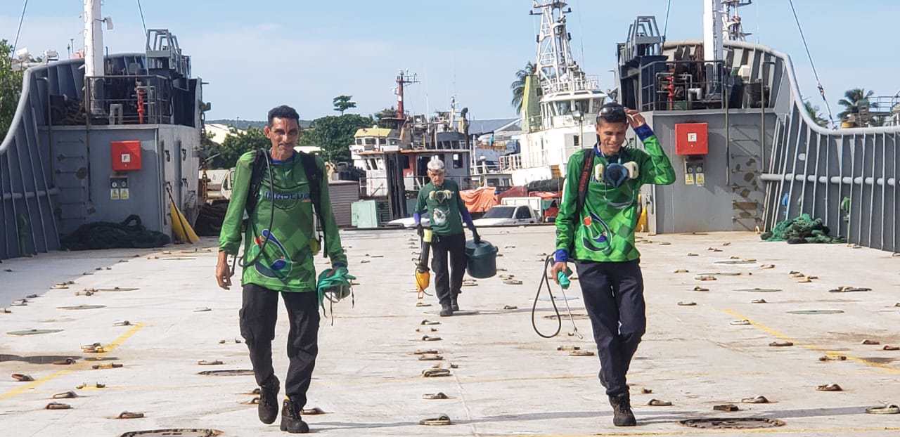 Fumigación y Control de Plagas en Empresas Navieras, Buques, Lanchas, Ferrys.