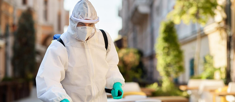 Safe & Effective Pest Management: What You Need to Know